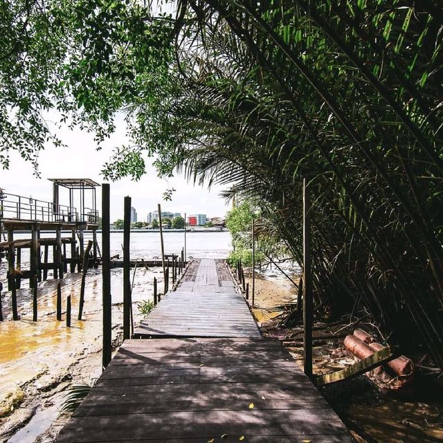 Bangkok Tree House