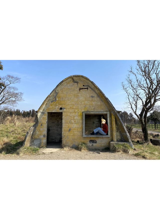 탁 트인 제주 만끽하러 가요!