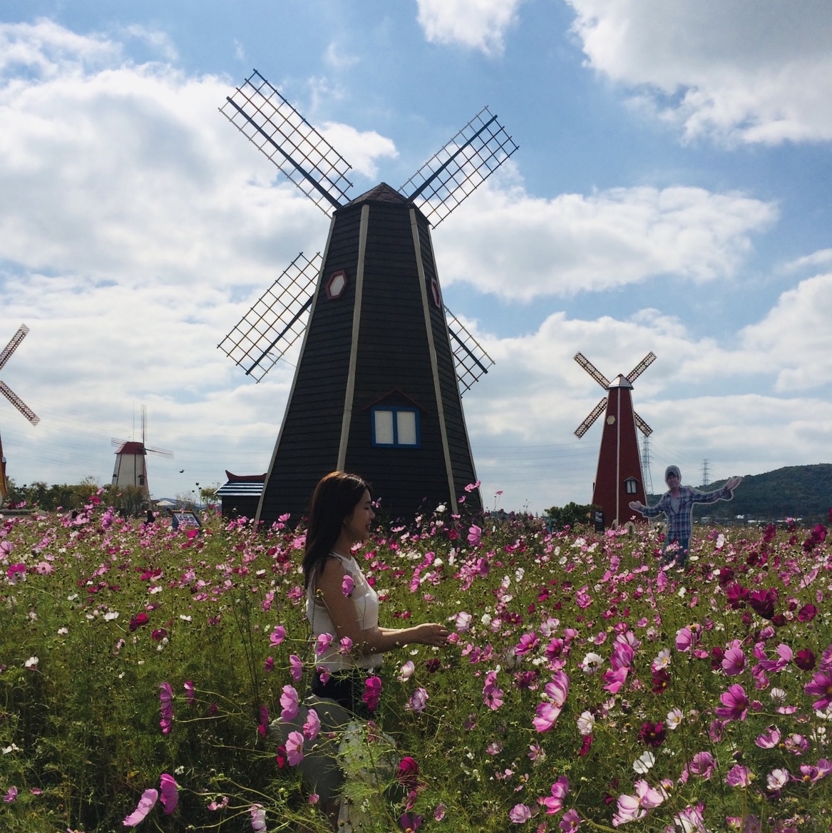 韓國隱世荷蘭風車園 Trip Com 仁川trip Moments 貼文