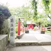 【三島】三島大社