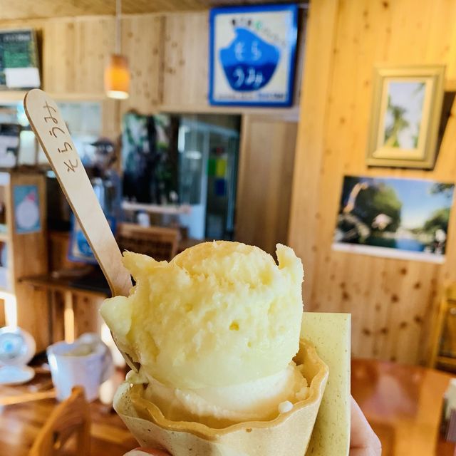 【屋久島】ジェラート そらうみ