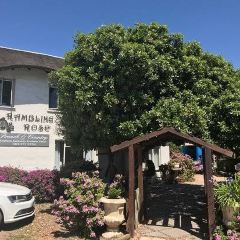 Rambling Rose Tea Garden & Coffee Shop User Photo