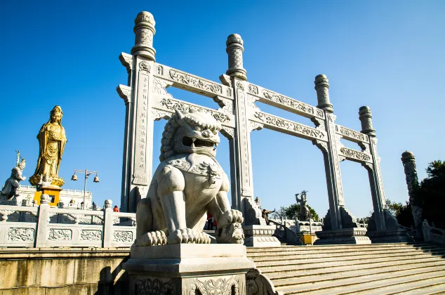 Crowne Plaza Hotels & Resorts Hotels in Zhoushan