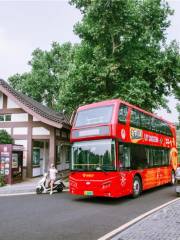 南京雙層觀光巴士