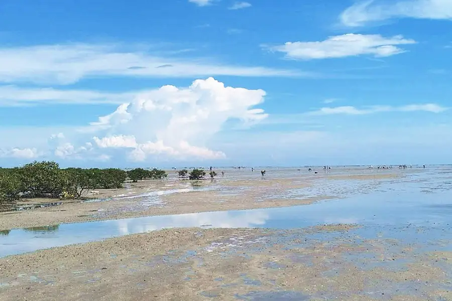 紅樹林趕海娃