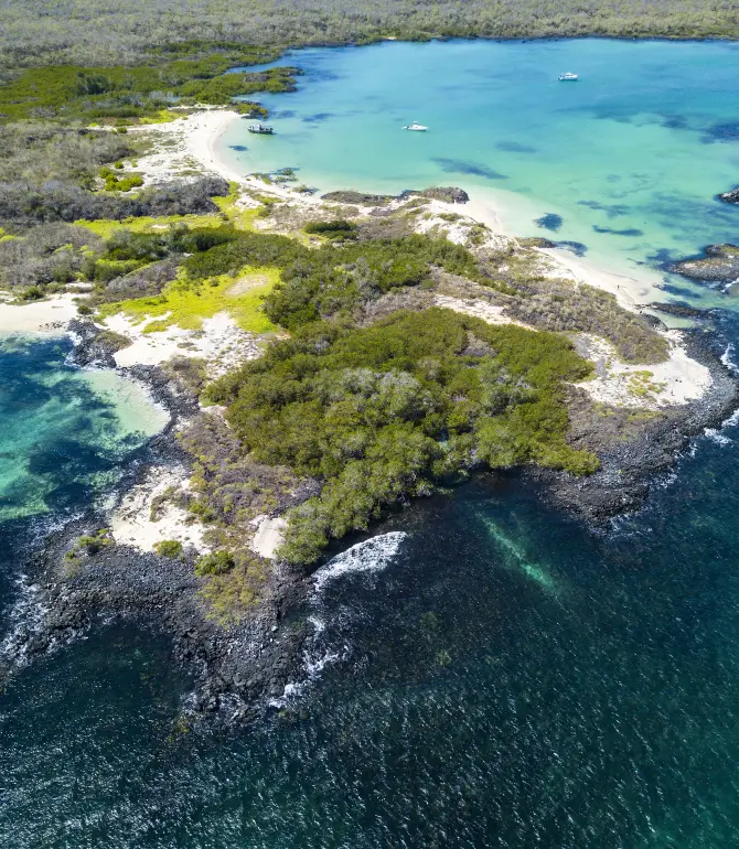 Galapagos