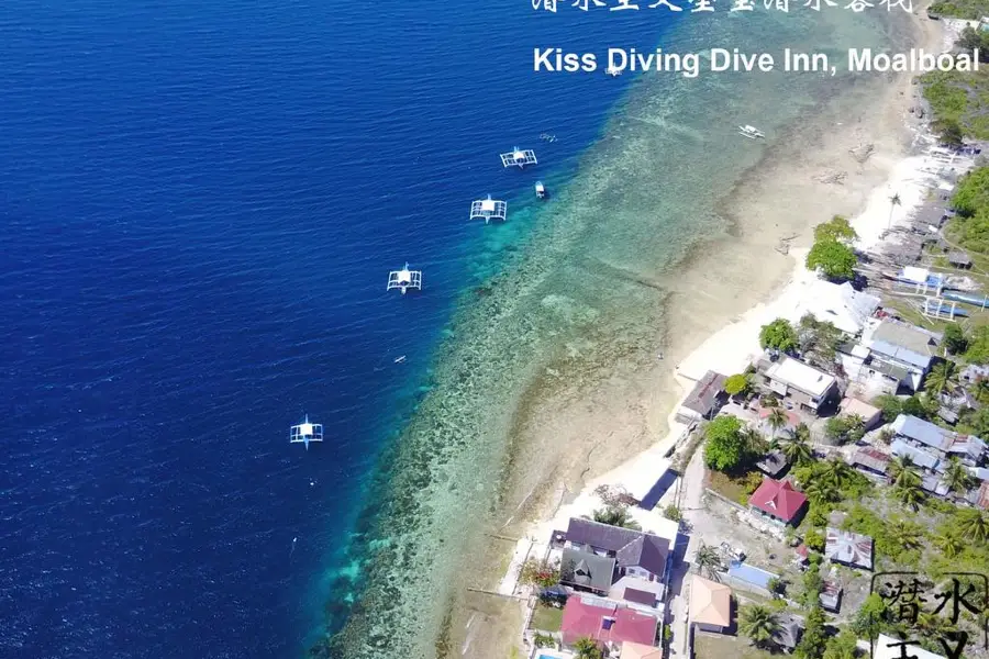 Kiss Diving Moalboal