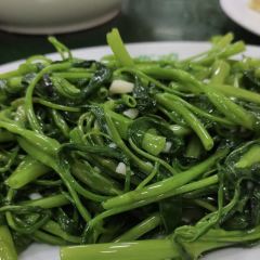 古典雞飯店張用戶圖片