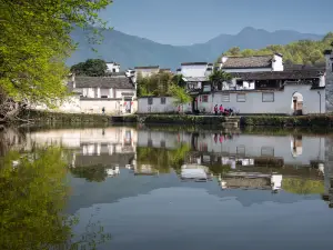 Nanhu Academy