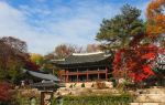 Changdeokgung Secret Garden