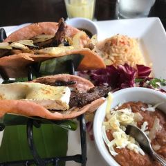 Taco Rosa 여행 사진