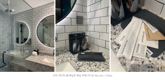 [월간호텔] 트립닷컴이 직접 다녀온 리얼 후기 - 라이즈 오토그래프 컬렉션 (룸타입 편)