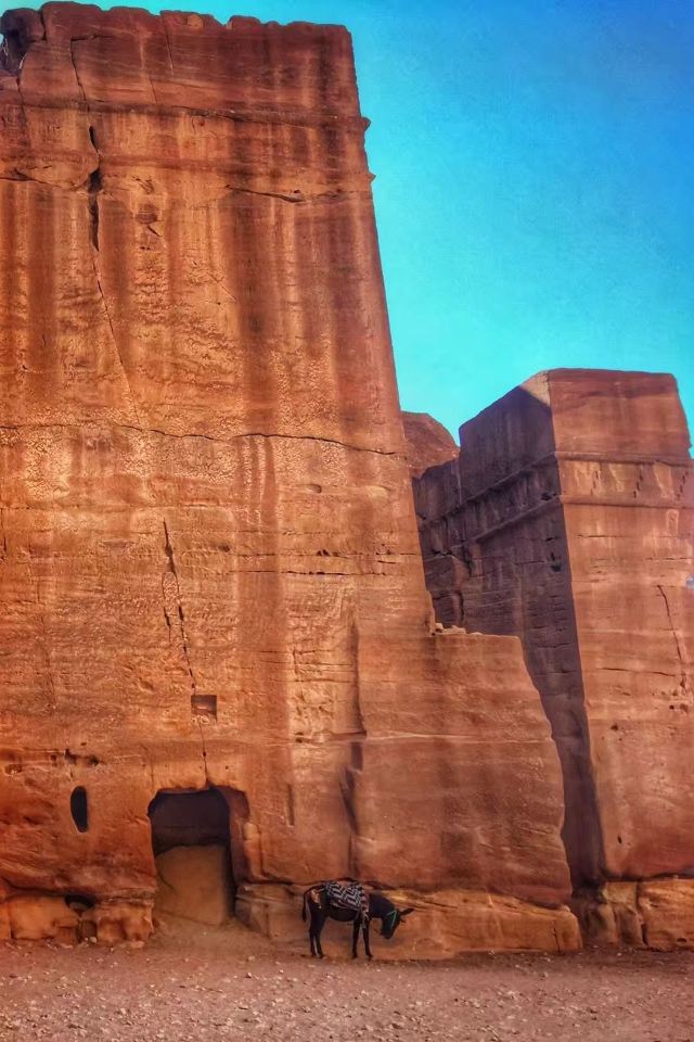 Petra