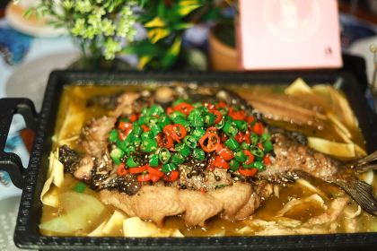 泰安蝴蝶夢音樂餐廳