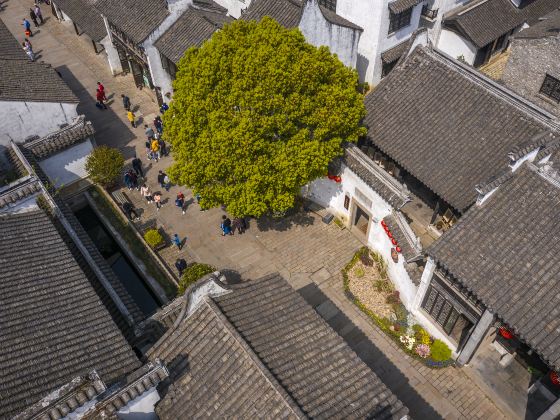Enyang Ancient Town