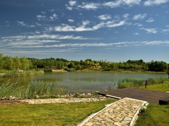 Longquanhu Wetland