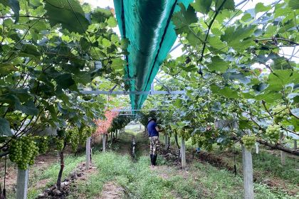 潘铺生态休闲农庄