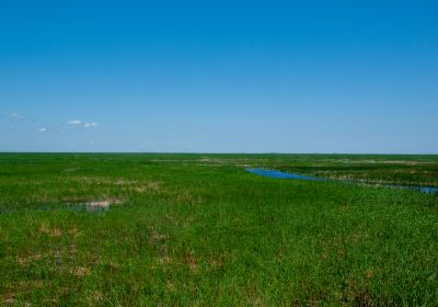 Dorbet Prairie