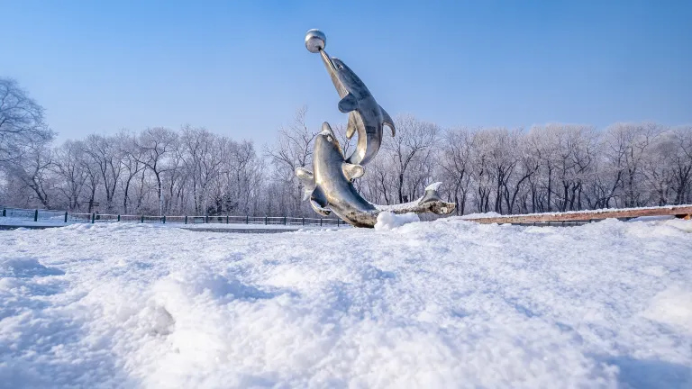 Mandarin Airlines Flights to Harbin