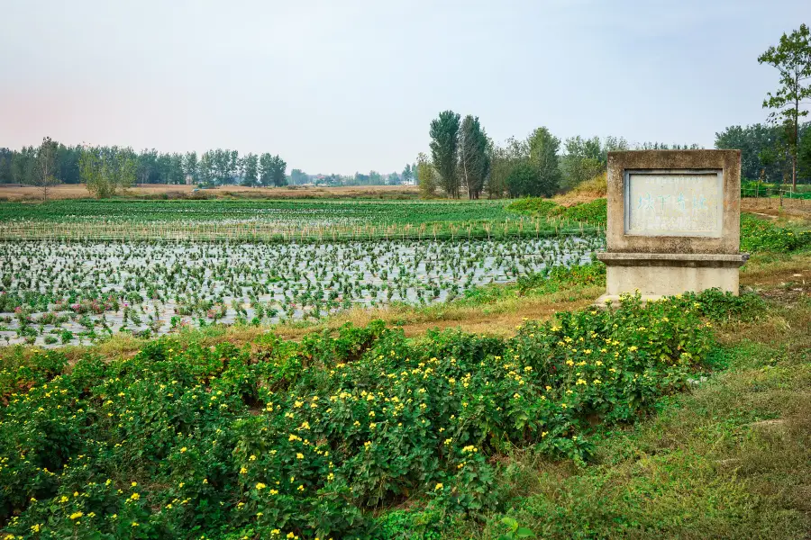 The Ruins of Gaixia