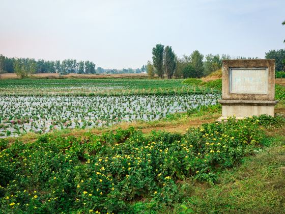 The Ruins of Gaixia