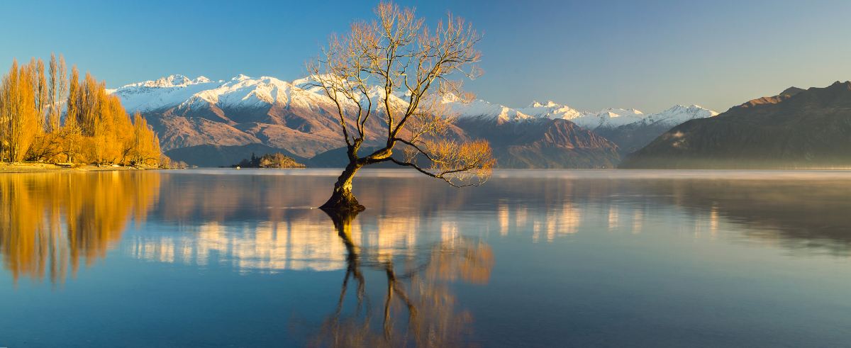 Melbourne to Wanaka Flights