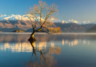 Wanaka