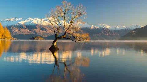Wanaka travel destination