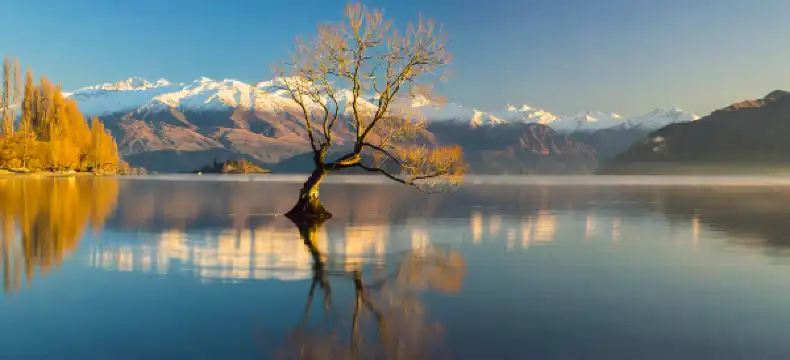 Hotels in Wanaka
