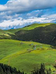 North Tibet Grassland