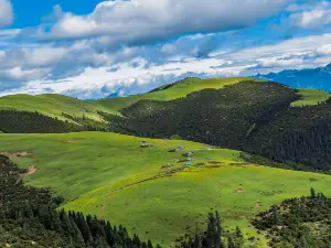 North Tibet Grassland