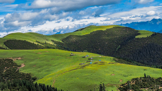 North Tibet Grassland