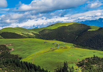 North Tibet Grassland