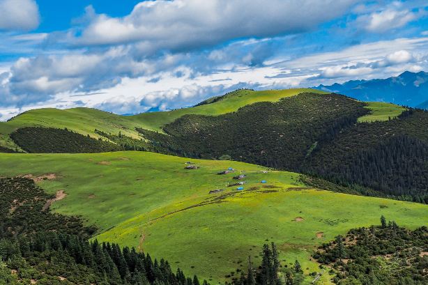 North Tibet Grassland