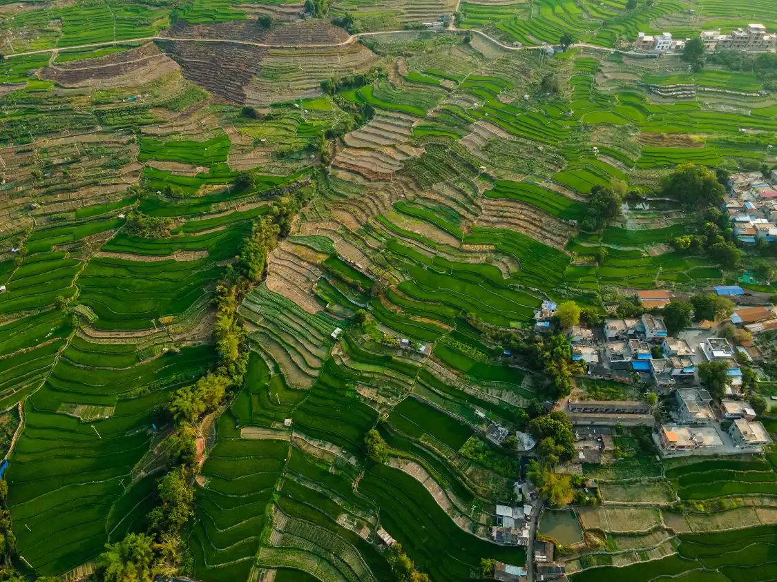 戛灑鎮附近的飯店