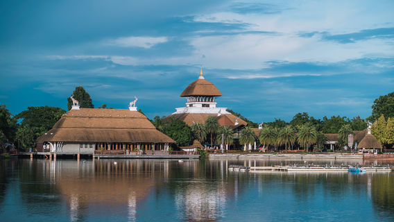 Chiang Mai Night Safari
