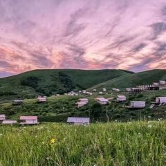 早安雄库鲁 User Photo