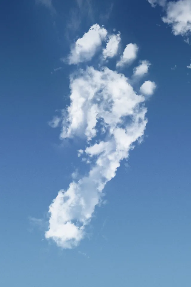 Chooose hilft uns beim Ausgleich unseres CO2-Fußabdrucks