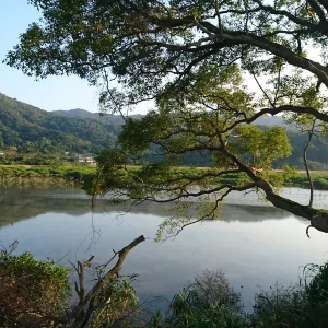 鹿頸