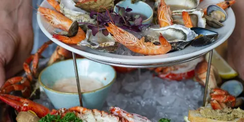 The Square Fish Café