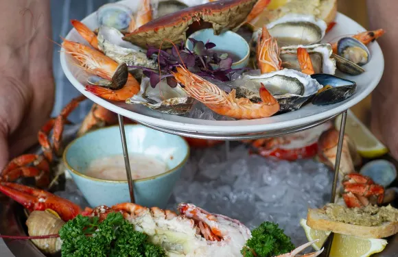 The Square Fish Café