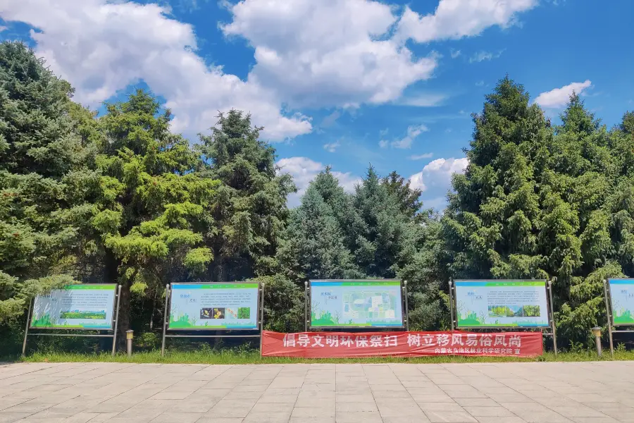 内モンゴル林科院樹木園