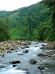 kota kinabalu