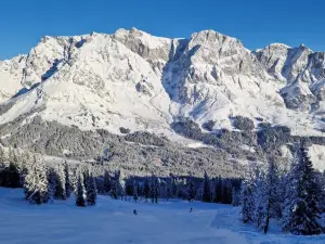 Hochkönig Bergbahnen - Ski amadé