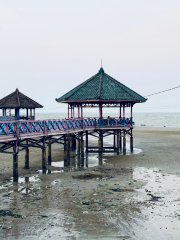 Wisata Bahari Dampo Awang Beach