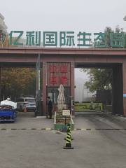 Yili International Eco-tourism Island