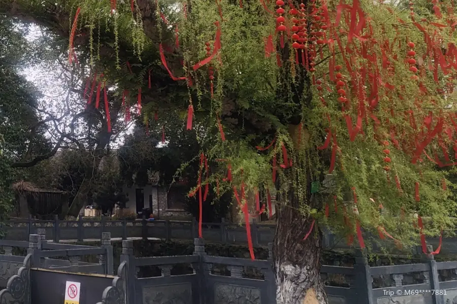 Anjiang Agricultural School Memorial Park