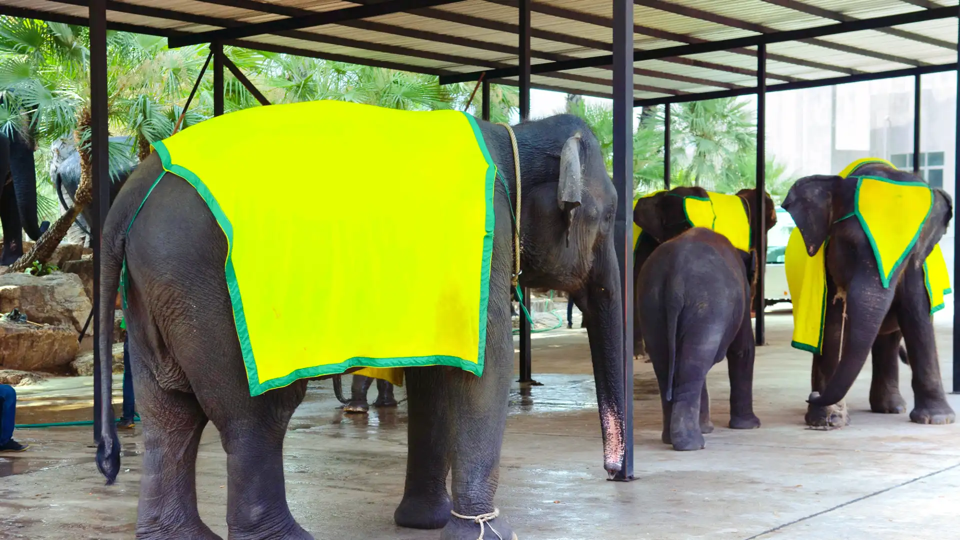 โรงแรมใกล้Chang Siam Zoo