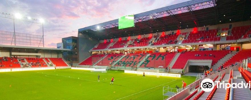 Stadium of Anton Malatinský