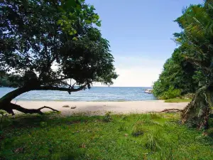 Rubondo Island